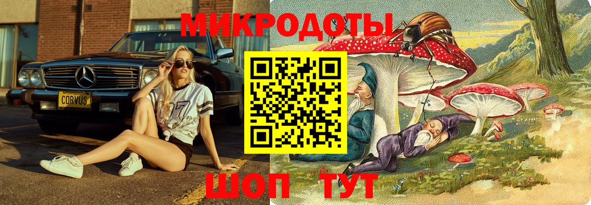 Псилоцибиновые грибы Psilocybine cubensis Чебаркуль