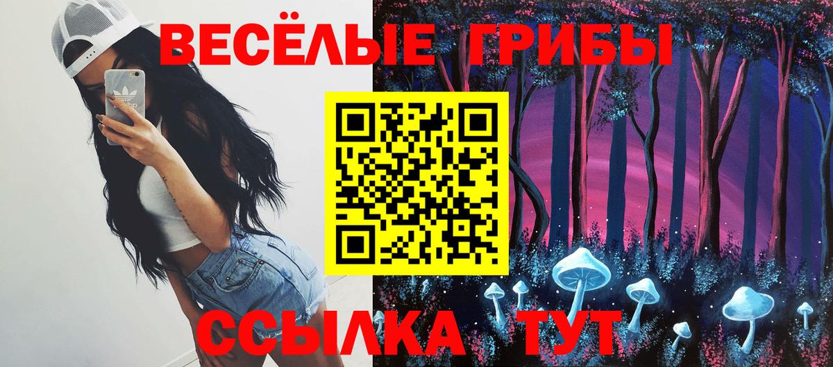 Галлюциногенные грибы Psilocybine cubensis  Вход с VPN  Чебаркуль 